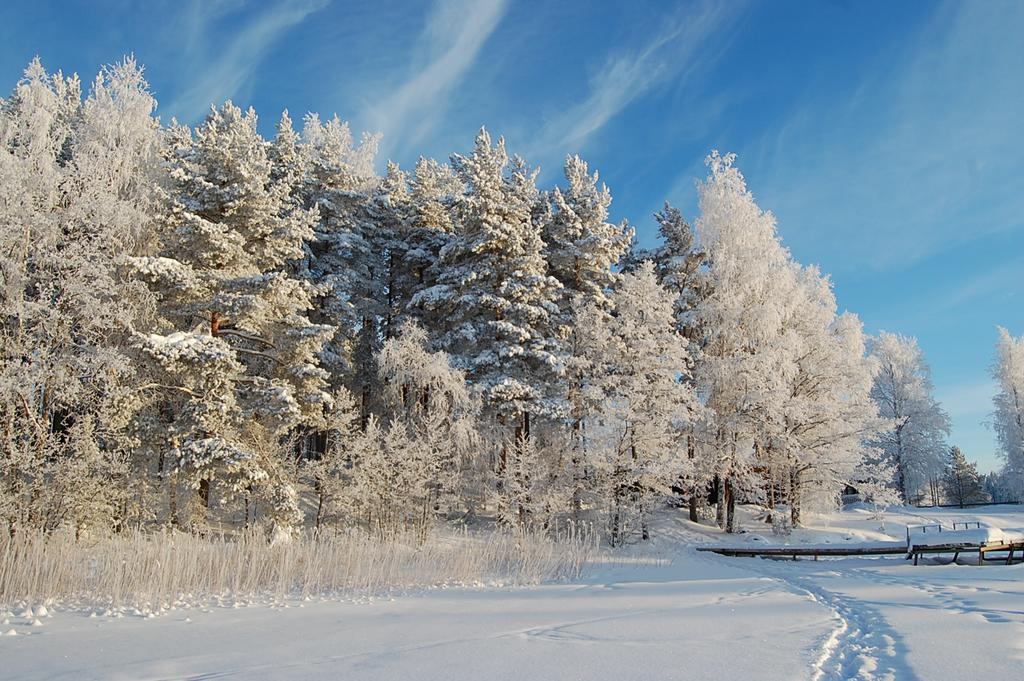 Lomasaaret Cottages Villala Экстерьер фото