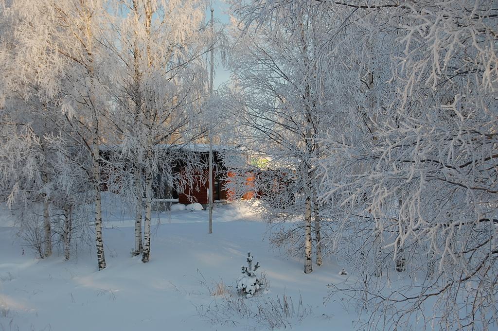 Lomasaaret Cottages Villala Экстерьер фото
